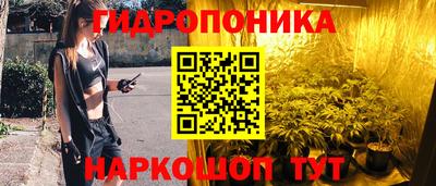 гашик Аргун