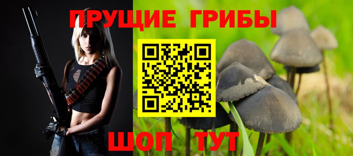 Псилоцибиновые грибы MAGIC MUSHROOMS  Псилоцибиновые грибы мухоморы  Вход с VPN  Апрелевка 